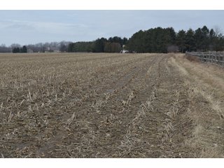Property photo 8 - 173 +/- Acres Offered in 3 Tracts - Ohio Farmland
